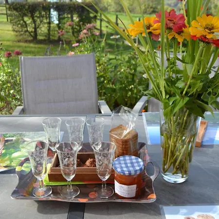 De Charme En Rhone-alpes : Terrasse, Cheminee, Jardin, Ideal Famille, Accessible Pmr - Fr-1-496-93