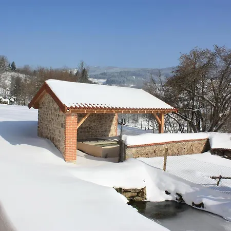 De Charme En Rhone-alpes : Terrasse, Cheminee, Jardin, Ideal Famille, Accessible Pmr - Fr-1-496-93